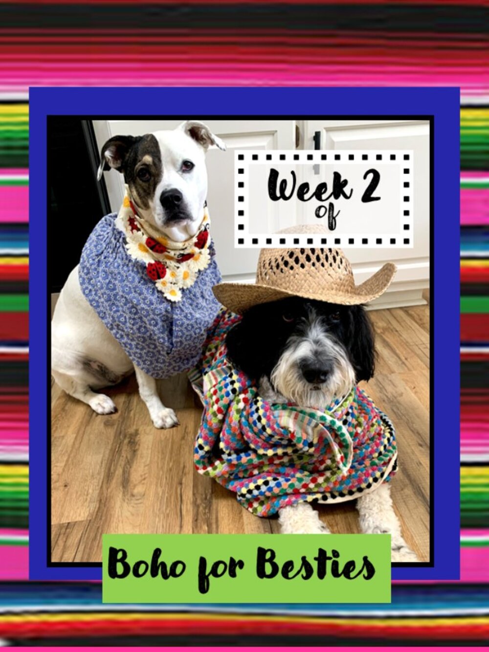 Boho for Besties Name your Price Week 2